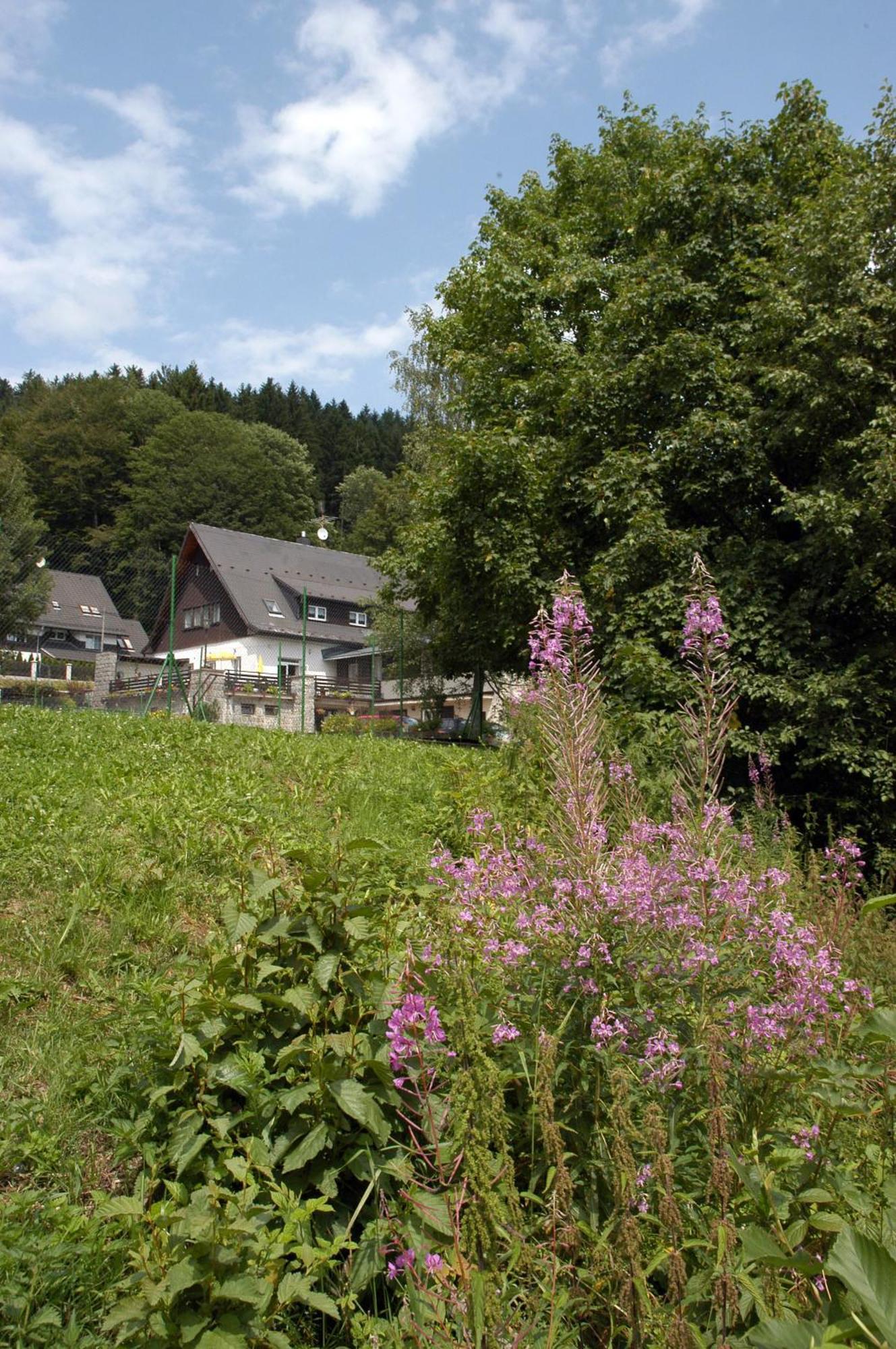 Penzion Bobesova Bouda Železná Ruda Extérieur photo